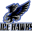 Ice Hawks Arena